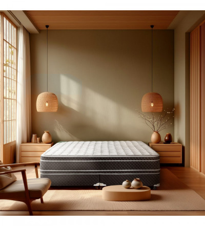 SOMMIER RENOVATION TN C/PILLOW 200X160
