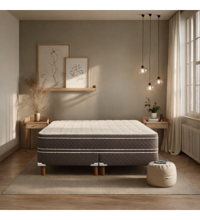 SOMMIER EXCLUSIVE PILLOW TOP 190X100